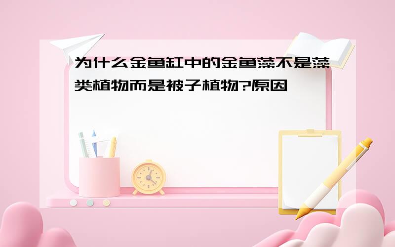 为什么金鱼缸中的金鱼藻不是藻类植物而是被子植物?原因