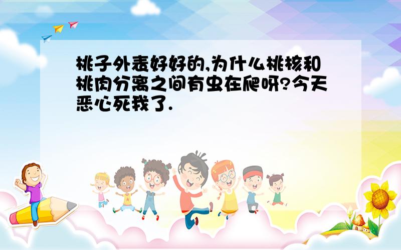 桃子外表好好的,为什么桃核和桃肉分离之间有虫在爬呀?今天恶心死我了.