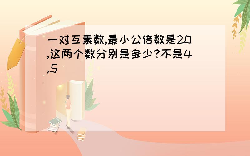 一对互素数,最小公倍数是20,这两个数分别是多少?不是4,5