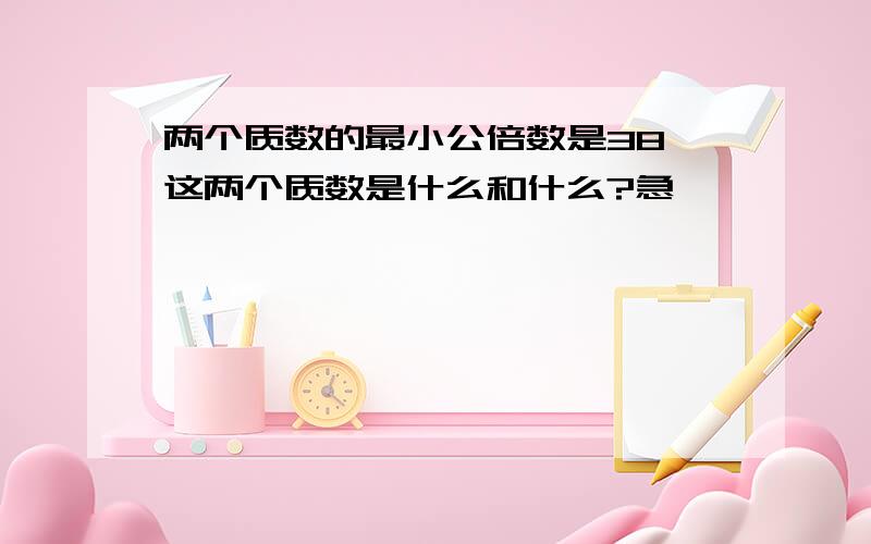 两个质数的最小公倍数是38,这两个质数是什么和什么?急