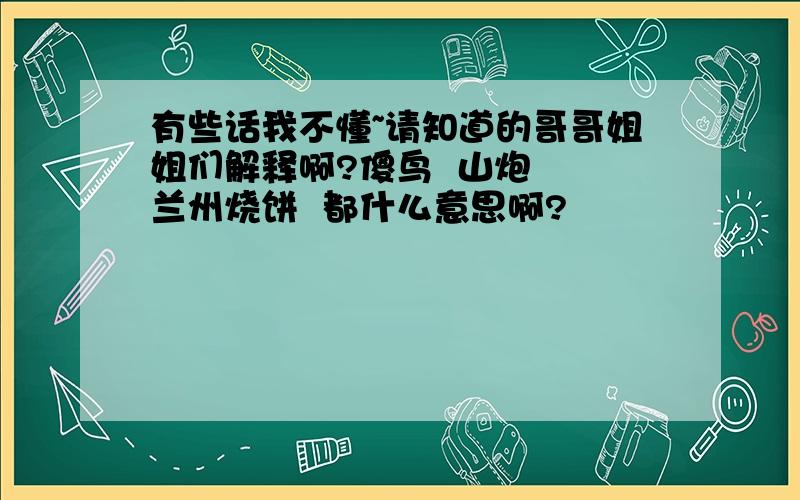 有些话我不懂~请知道的哥哥姐姐们解释啊?傻鸟  山炮  兰州烧饼  都什么意思啊?