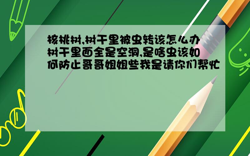 核桃树,树干里被虫转该怎么办树干里面全是空洞,是啥虫该如何防止哥哥姐姐些我是请你们帮忙