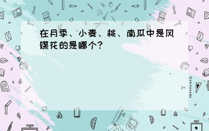 在月季、小麦、桃、南瓜中是风媒花的是哪个?