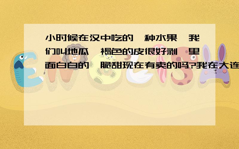 小时候在汉中吃的一种水果,我们叫地瓜,褐色的皮很好剥,里面白白的,脆甜现在有卖的吗?我在大连呢,这里从未见过,当地人也不认识.他们叫的地瓜就是红薯,就是汉中叫的红苕.请问地瓜子的学