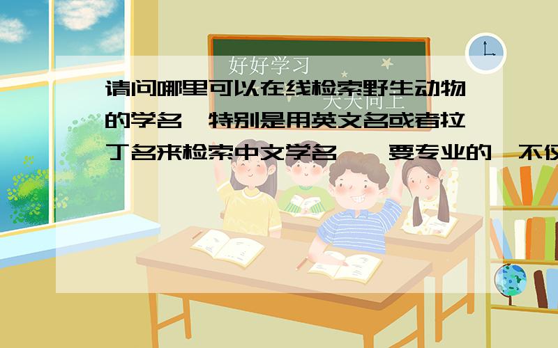 请问哪里可以在线检索野生动物的学名,特别是用英文名或者拉丁名来检索中文学名……要专业的,不仅限于国内的.如果不好找所有动物的,请起码能检索哺乳类的.学名……专业……最好是有