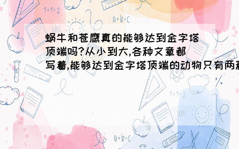 蜗牛和苍鹰真的能够达到金字塔顶端吗?从小到大,各种文章都写着,能够达到金字塔顶端的动物只有两种,苍鹰和蜗牛,老师和长辈,名人或者一些所谓的精神大师都在这样说,借蜗牛和苍鹰的各种