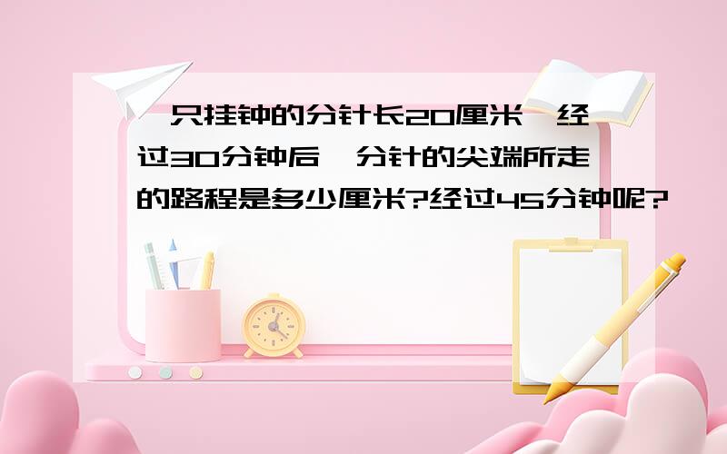 一只挂钟的分针长20厘米,经过30分钟后,分针的尖端所走的路程是多少厘米?经过45分钟呢?