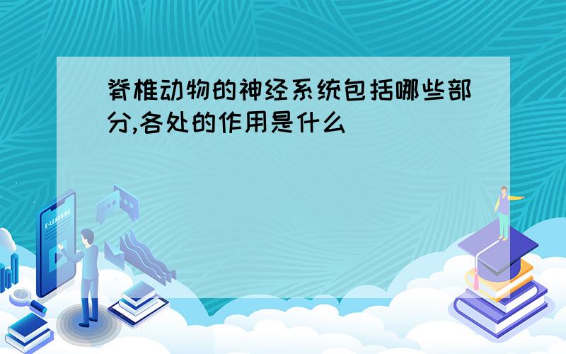 脊椎动物的神经系统包括哪些部分,各处的作用是什么