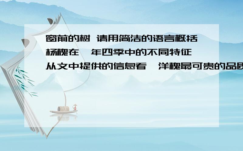 窗前的树 请用简洁的语言概括杨槐在一年四季中的不同特征 从文中提供的信息看,洋槐最可贵的品质