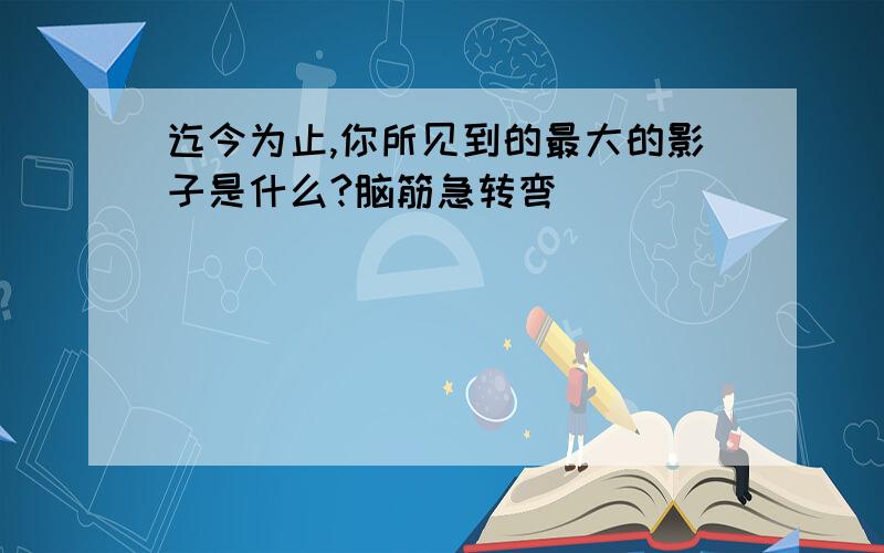 迄今为止,你所见到的最大的影子是什么?脑筋急转弯