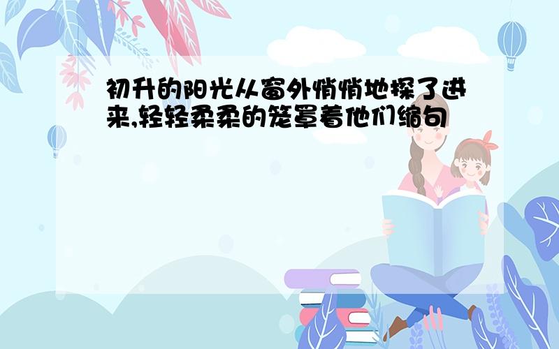 初升的阳光从窗外悄悄地探了进来,轻轻柔柔的笼罩着他们缩句