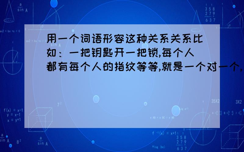 用一个词语形容这种关系关系比如：一把钥匙开一把锁,每个人都有每个人的指纹等等,就是一个对一个,一个萝卜一个坑这种意思.找个词语表达这种关系,词语格式：xx性（比如安全性,稳定性,