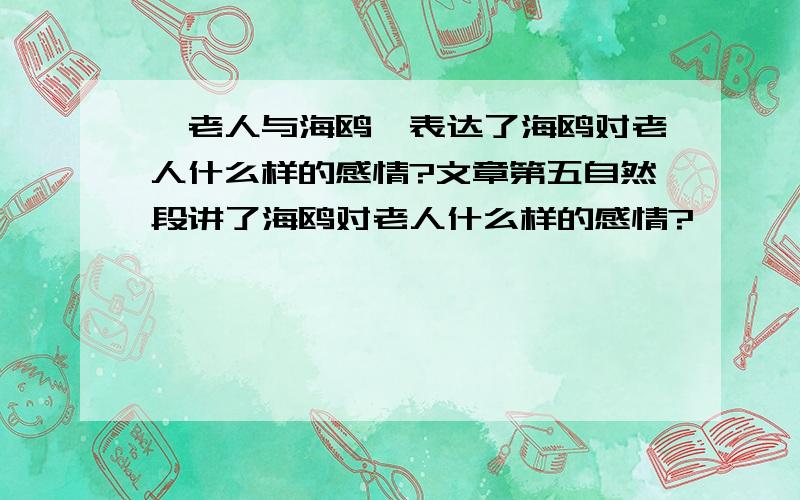 《老人与海鸥》表达了海鸥对老人什么样的感情?文章第五自然段讲了海鸥对老人什么样的感情?