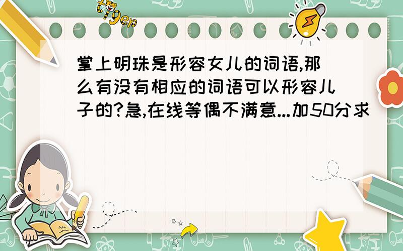 掌上明珠是形容女儿的词语,那么有没有相应的词语可以形容儿子的?急,在线等偶不满意...加50分求