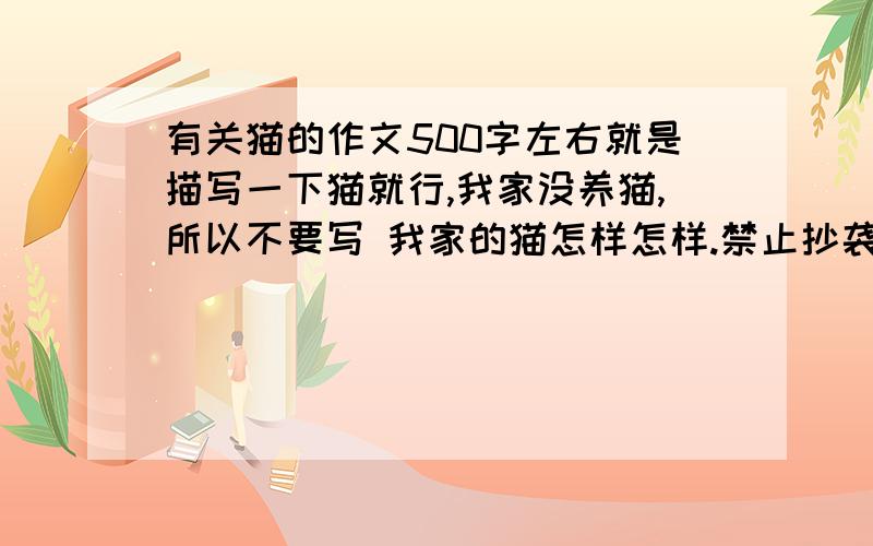 有关猫的作文500字左右就是描写一下猫就行,我家没养猫,所以不要写 我家的猫怎样怎样.禁止抄袭.