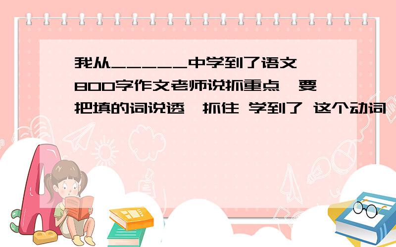 我从_____中学到了语文 800字作文老师说抓重点,要把填的词说透,抓住 学到了 这个动词