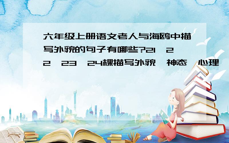 六年级上册语文老人与海鸥中描写外貌的句子有哪些?21,22,23,24棵描写外貌,神态、心理,语言、动作的句子