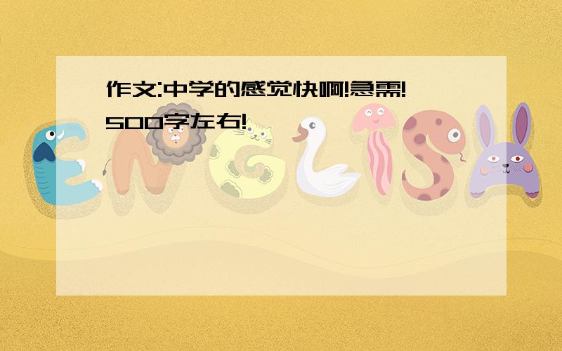 作文:中学的感觉快啊!急需!500字左右!