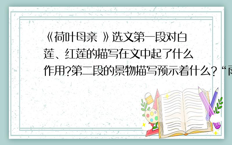 《荷叶母亲 》选文第一段对白莲、红莲的描写在文中起了什么作用?第二段的景物描写预示着什么?“雨势并不减退”单位何“红莲却不摇动了”?第三段中有个省略号,你能根据当时的想象补