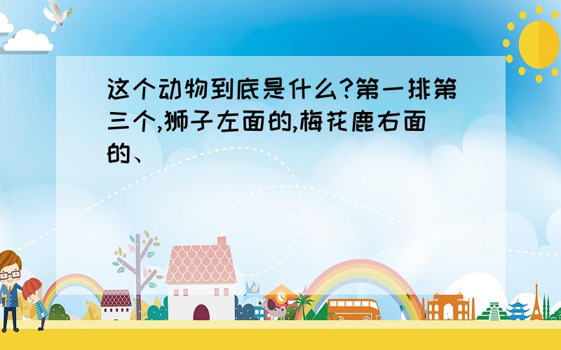 这个动物到底是什么?第一排第三个,狮子左面的,梅花鹿右面的、