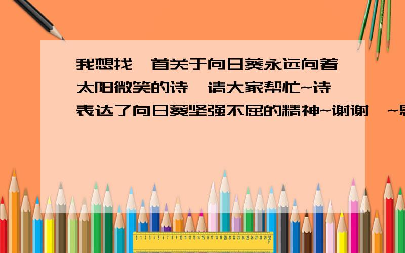 我想找一首关于向日葵永远向着太阳微笑的诗,请大家帮忙~诗表达了向日葵坚强不屈的精神~谢谢咯~恩``我希望要突出表达向日葵的特点的~