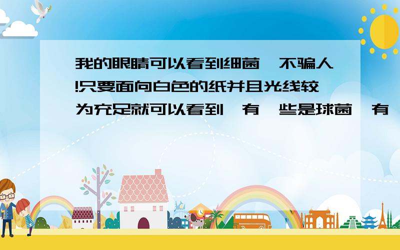 我的眼睛可以看到细菌,不骗人!只要面向白色的纸并且光线较为充足就可以看到,有一些是球菌,有一些是杆菌,甚至可以看到杆菌体内的卵!昨天,我去放风筝.因为这时的天空有一层薄云笼罩着,