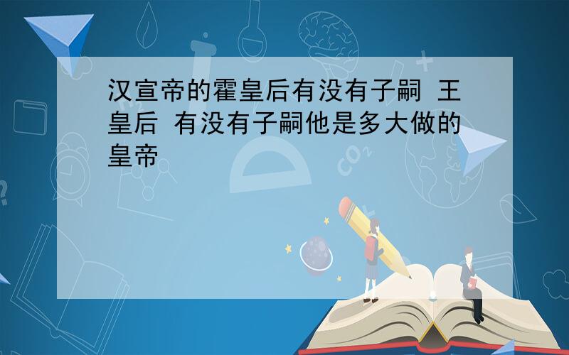 汉宣帝的霍皇后有没有子嗣 王皇后 有没有子嗣他是多大做的皇帝