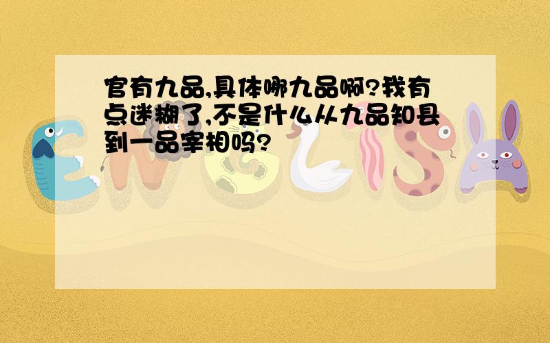 官有九品,具体哪九品啊?我有点迷糊了,不是什么从九品知县到一品宰相吗?