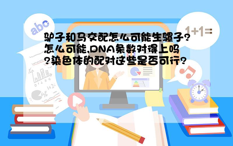 驴子和马交配怎么可能生骡子?怎么可能,DNA条数对得上吗?染色体的配对这些是否可行?