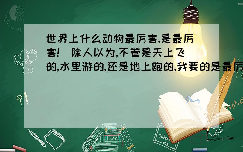 世界上什么动物最厉害,是最厉害!（除人以为,不管是天上飞的,水里游的,还是地上跑的,我要的是最厉害兄弟们!姐妹们!我是说把所有厉害的动物不管是水里的还是哪里的!是力量的比较!比如老