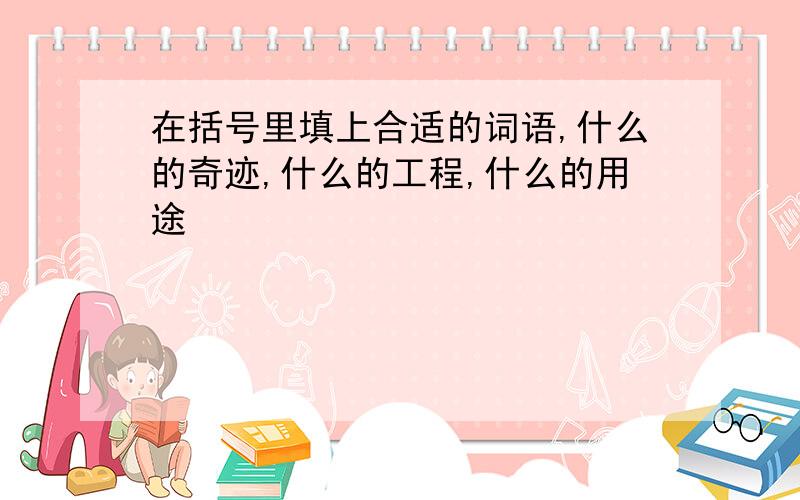 在括号里填上合适的词语,什么的奇迹,什么的工程,什么的用途