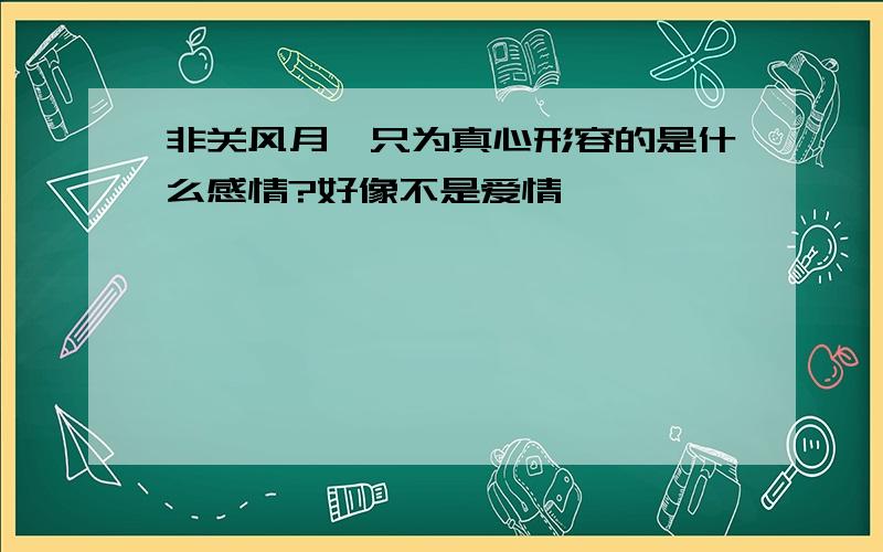 非关风月,只为真心形容的是什么感情?好像不是爱情