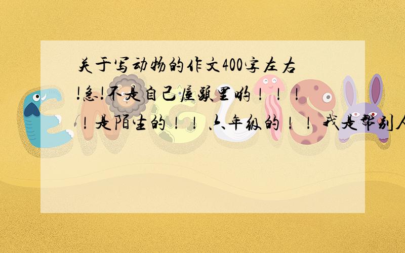 关于写动物的作文400字左右!急!不是自己屋头里哟！！！！是陌生的！！ 六年级的！！ 我是帮别人查的哟！！！你莫搞错了！！ 除了蚂蚁以外！！