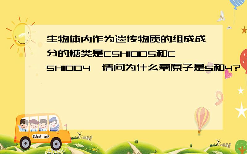 生物体内作为遗传物质的组成成分的糖类是C5H10O5和C5H10O4,请问为什么氧原子是5和4?