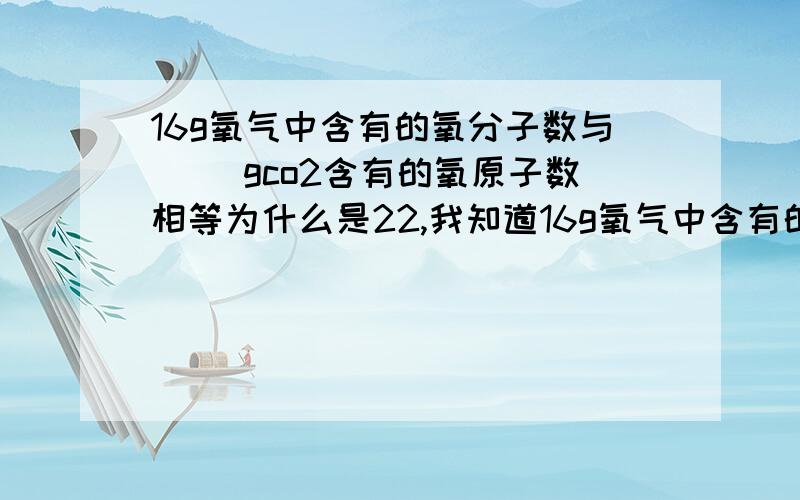 16g氧气中含有的氧分子数与( )gco2含有的氧原子数相等为什么是22,我知道16g氧气中含有的氧分子数是0.5mol,然后怎么算?今天刚学……