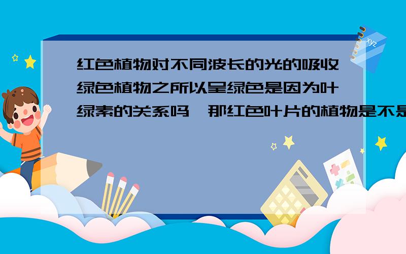 红色植物对不同波长的光的吸收绿色植物之所以呈绿色是因为叶绿素的关系吗,那红色叶片的植物是不是缺乏或者没有叶绿素?那么,红色叶片的植物光合作用吗?或者说它喜欢的颜色和绿色植物