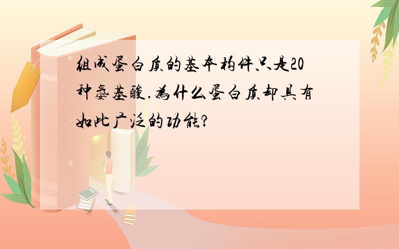 组成蛋白质的基本构件只是20种氨基酸.为什么蛋白质却具有如此广泛的功能?