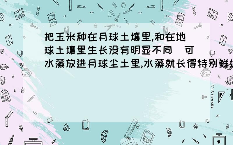 把玉米种在月球土壤里,和在地球土壤里生长没有明显不同．可水藻放进月球尘土里,水藻就长得特别鲜嫩青绿越快越好