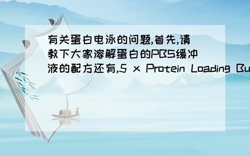 有关蛋白电泳的问题,首先,请教下大家溶解蛋白的PBS缓冲液的配方还有,5 x Protein Loading Buffer（No Reducing Buffer）和5 x Protein Loading Buffer（No Deturation Buffer）这两种有什么区别,还有与protein loading Dy