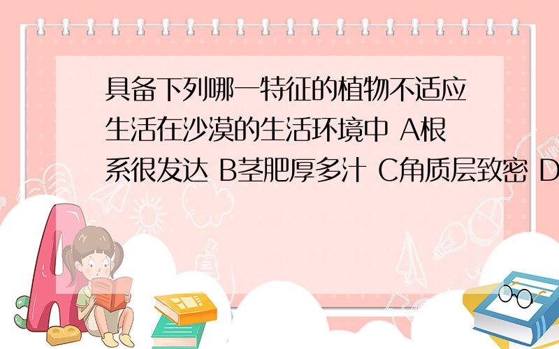 具备下列哪一特征的植物不适应生活在沙漠的生活环境中 A根系很发达 B茎肥厚多汁 C角质层致密 D页面宽大