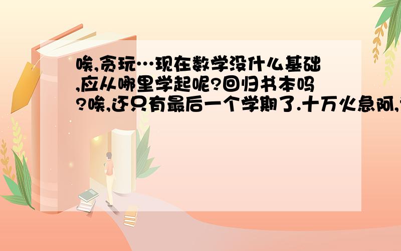 唉,贪玩…现在数学没什么基础,应从哪里学起呢?回归书本吗?唉,还只有最后一个学期了.十万火急阿,请回答哦,