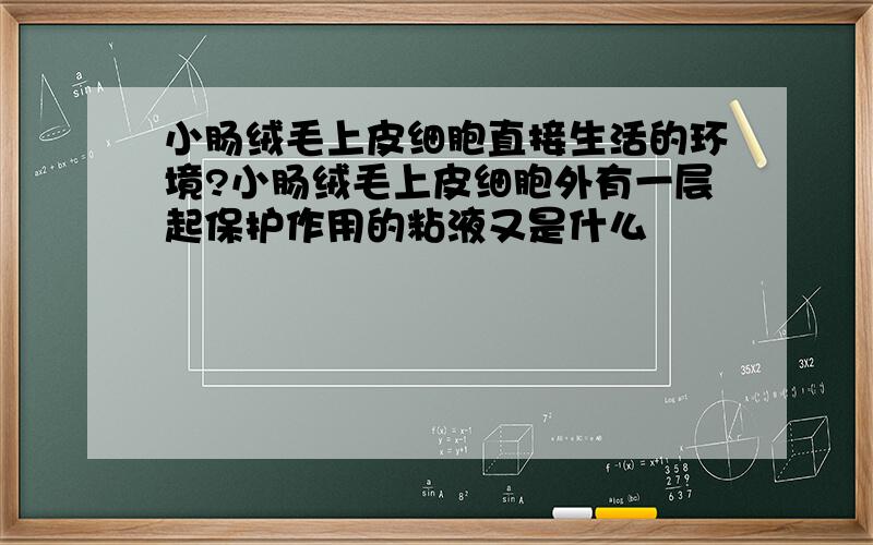 小肠绒毛上皮细胞直接生活的环境?小肠绒毛上皮细胞外有一层起保护作用的粘液又是什么