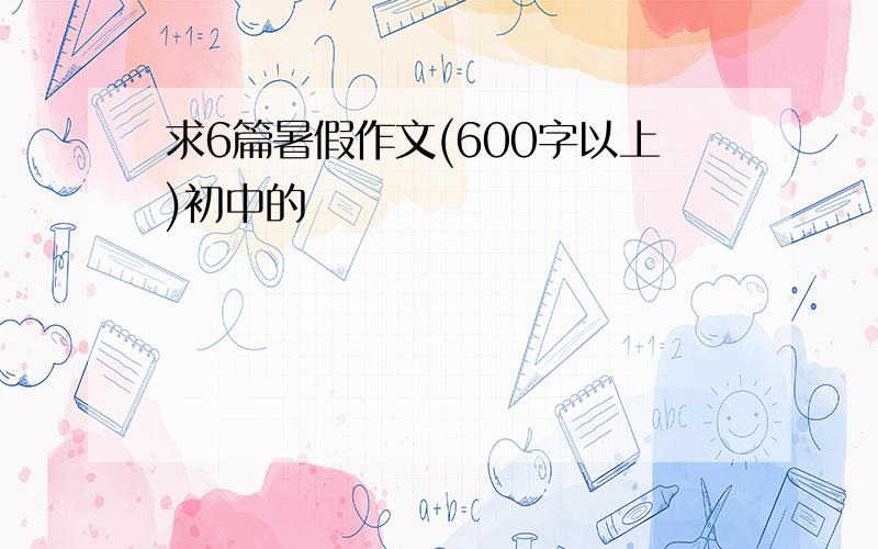 求6篇暑假作文(600字以上)初中的