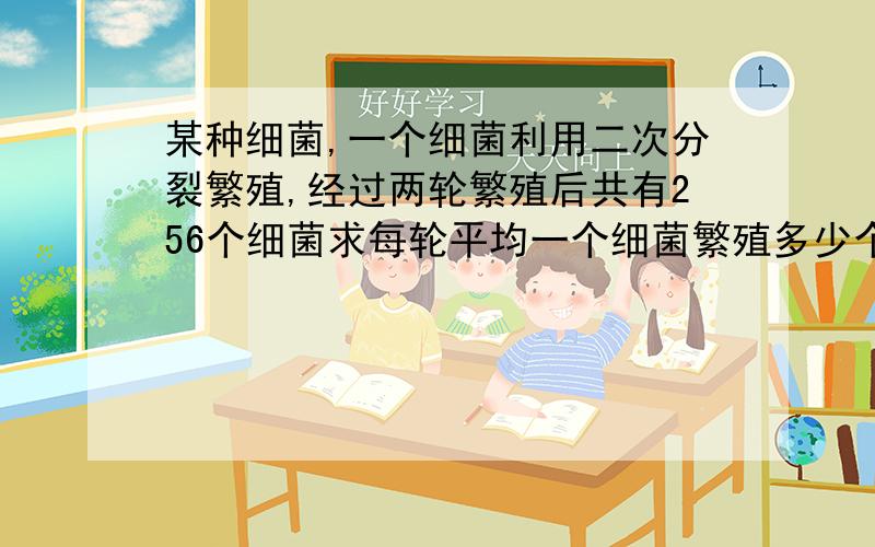 某种细菌,一个细菌利用二次分裂繁殖,经过两轮繁殖后共有256个细菌求每轮平均一个细菌繁殖多少个,六轮后有多少个