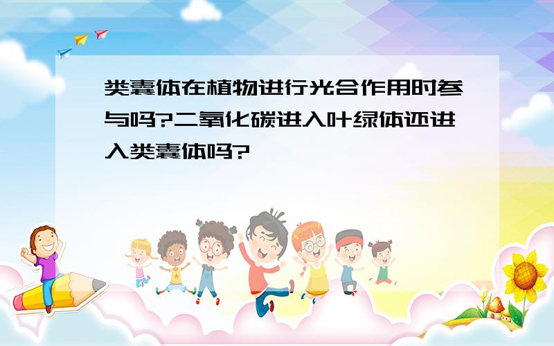 类囊体在植物进行光合作用时参与吗?二氧化碳进入叶绿体还进入类囊体吗?