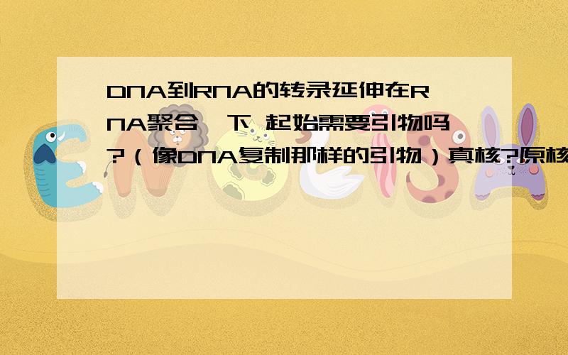 DNA到RNA的转录延伸在RNA聚合酶下 起始需要引物吗?（像DNA复制那样的引物）真核?原核?都说说看.