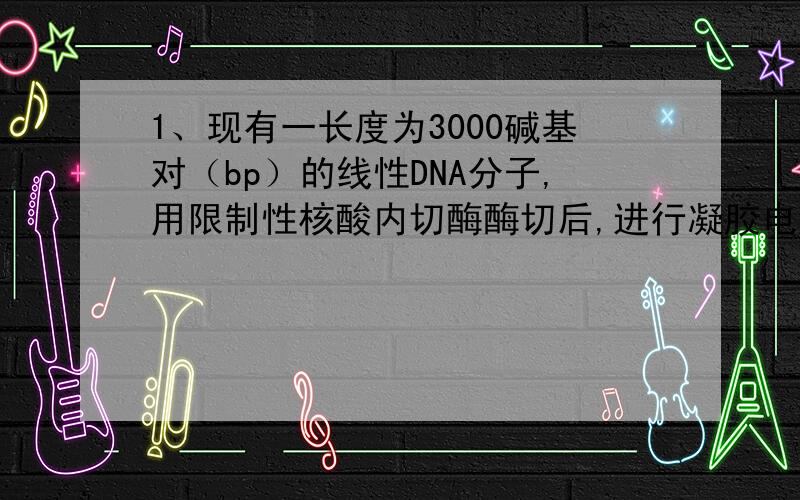 1、现有一长度为3000碱基对（bp）的线性DNA分子,用限制性核酸内切酶酶切后,进行凝胶电泳,使降解产物分开.用酶H单独切,结果如图1.用酶B单独切,结果如图2.用H和B同时切,结果如图3.该DNA分子结