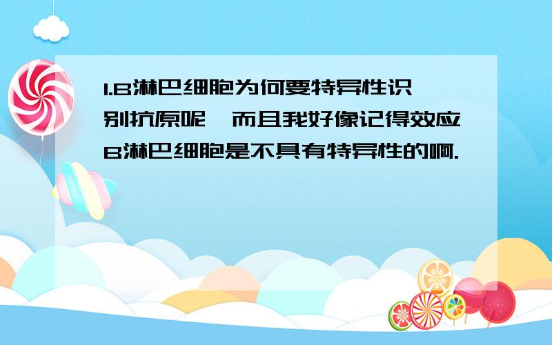 1.B淋巴细胞为何要特异性识别抗原呢,而且我好像记得效应B淋巴细胞是不具有特异性的啊.