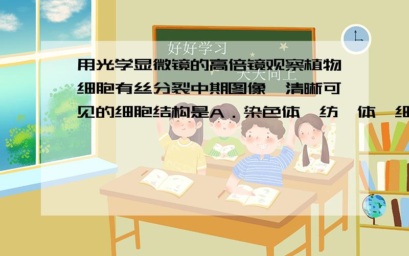 用光学显微镜的高倍镜观察植物细胞有丝分裂中期图像,清晰可见的细胞结构是A．染色体、纺缍体、细胞壁 B．染色体、赤道板、细胞壁C．纺缍体、核仁、细胞壁 D．纺缍体、细胞壁、细胞膜