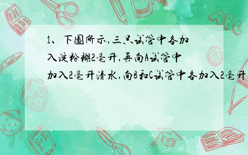 1、下图所示,三只试管中各加入淀粉糊2毫升,再向A试管中加入2毫升清水,向B和C试管中各加入2毫升唾液（1）三个试管中出现的现象是：A管 ,B管 ,C管 .（2）将三只试管充分震荡后,放入盛有37摄